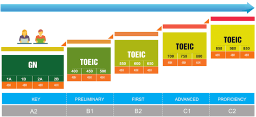 Lộ trình học Toeic cho người mới bắt đầu